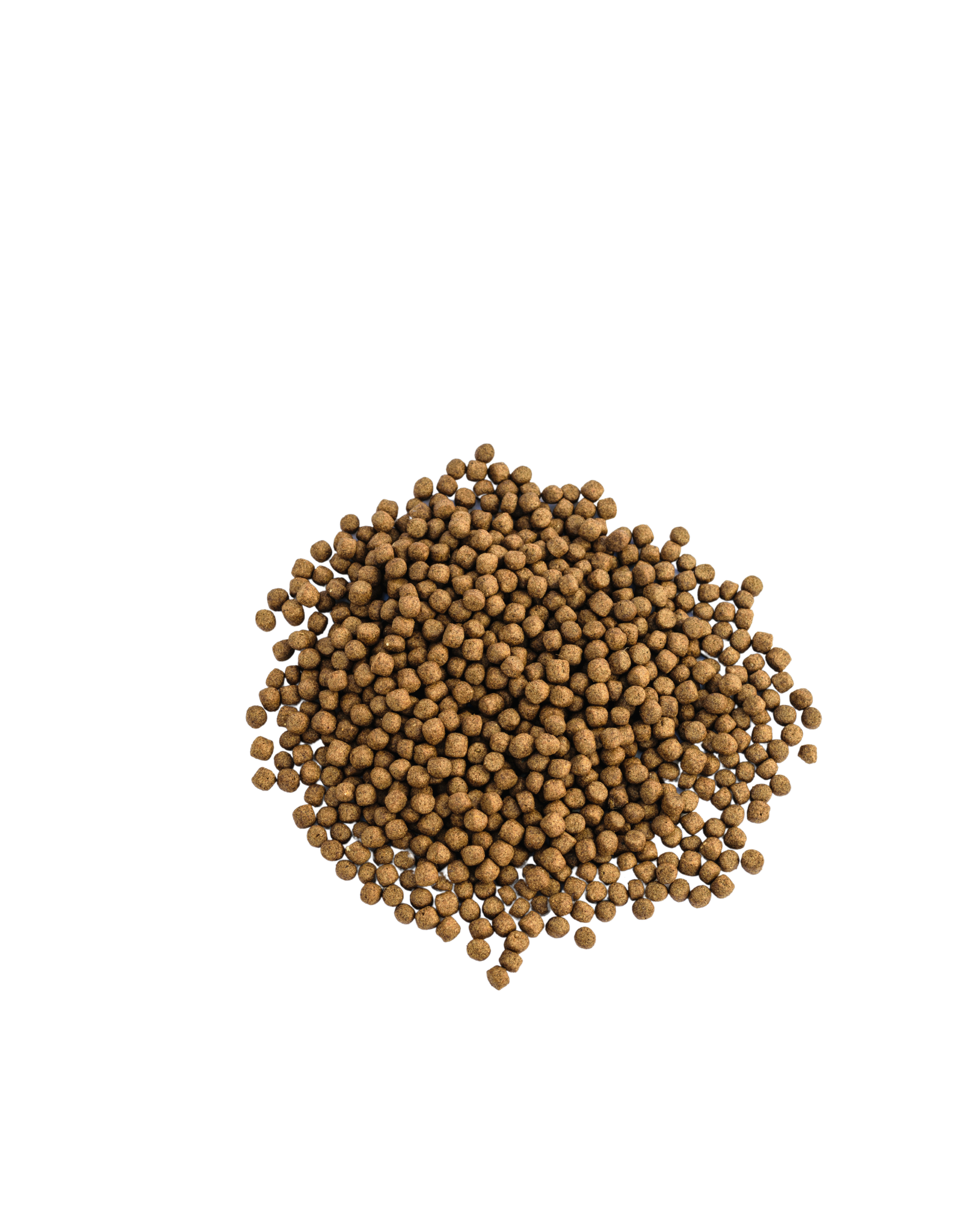 Sustainable Fish Feed