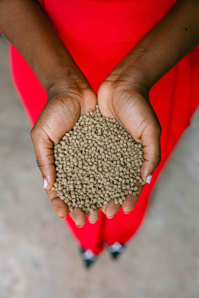UN Food Systems Summit